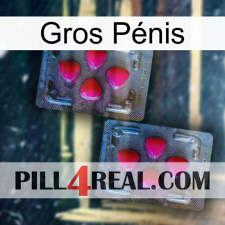 Gros Pénis 14